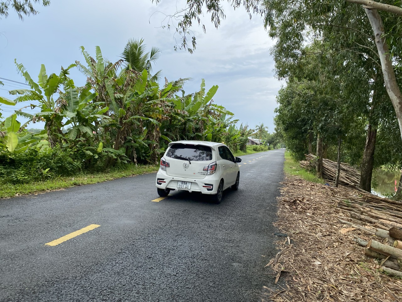 CHÍNH CHỦ CẦN BÁN 6,14 HÉC TA ĐẤT RỪNG TRÀM ĐANG KHAI THÁC TẠI U MINH.