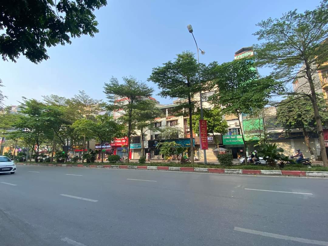 Bán Gấp Lô Đất Vàng, Mặt Phố Trần Thái Tông 224m x C4, Mt 10m. Giá 139 tỷ.