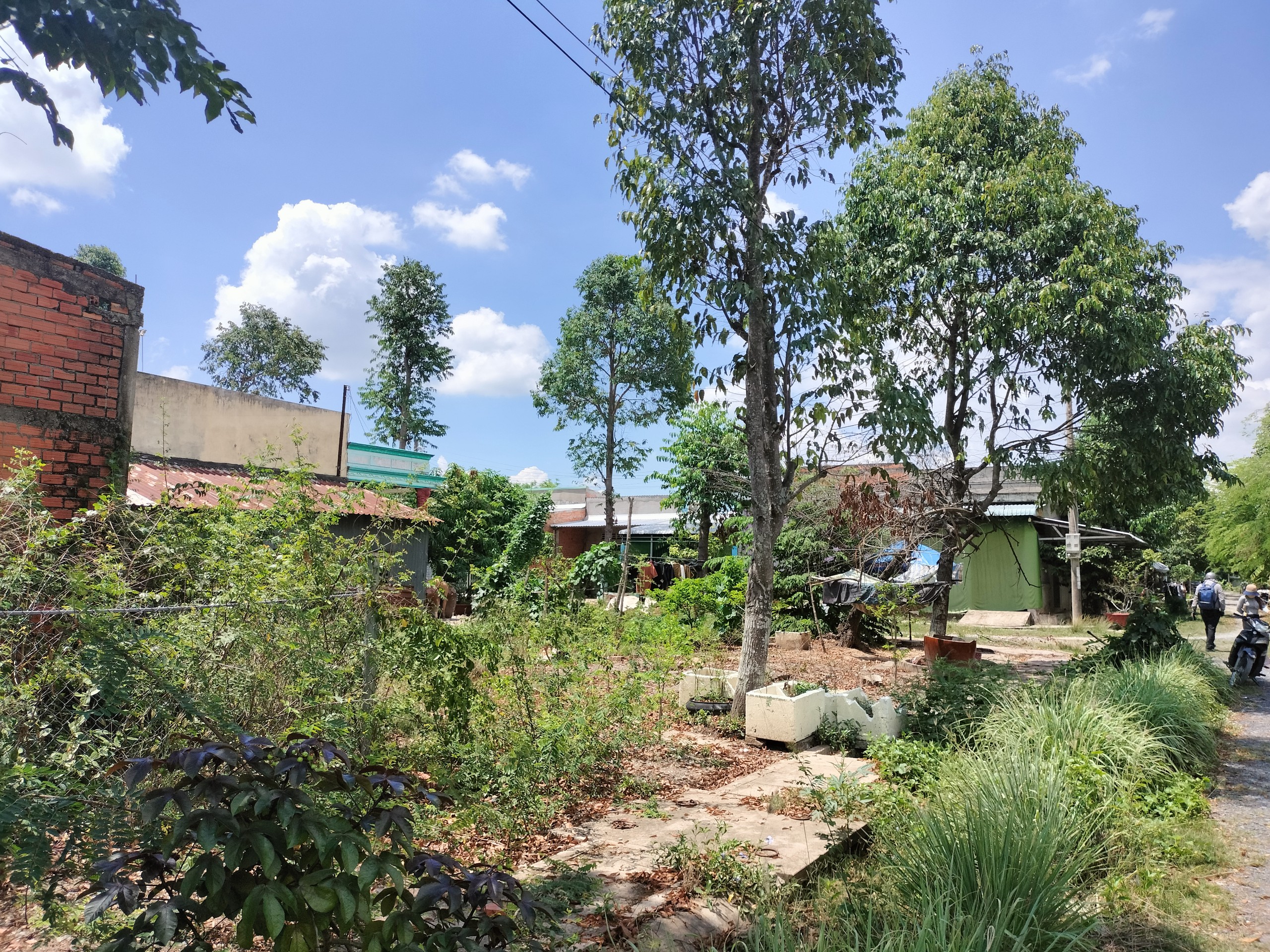 Chính Chủ Cần Bán Lô Đất Vị Trí Đẹp Tại Long An