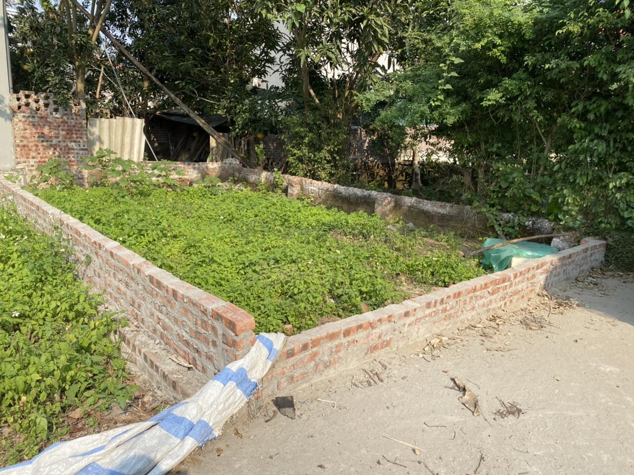 Siêu rẻ mảnh đát Dt 42m Tự nhiên - Thường Tín chỉ 590 Triệu/m