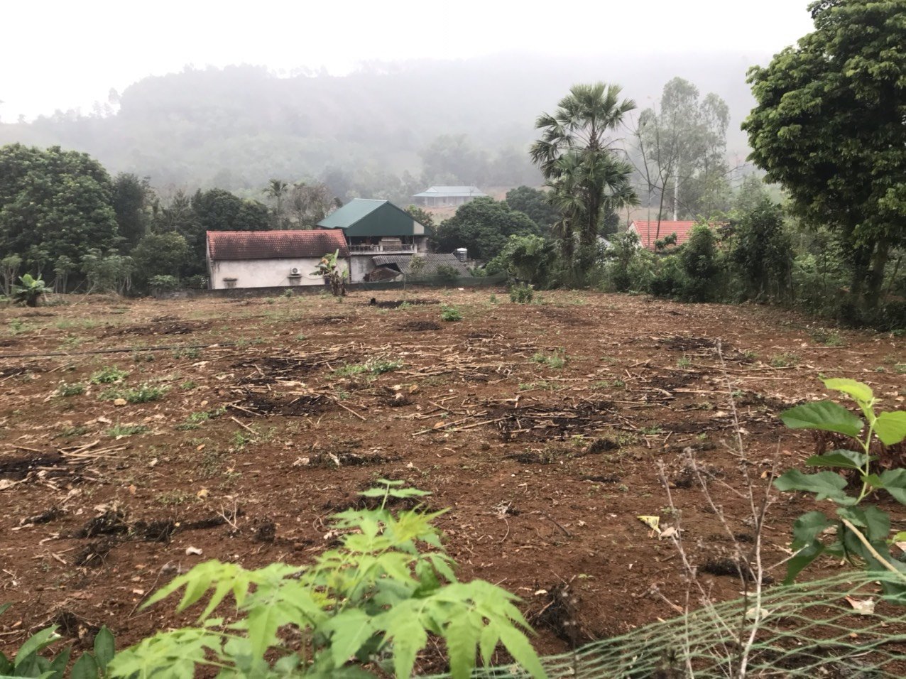 ❌ CHÍNH CHỦ BÁN LÔ ĐẤT KHÁNH THƯỢNG , H. BA VÌ, HÀ NỘI