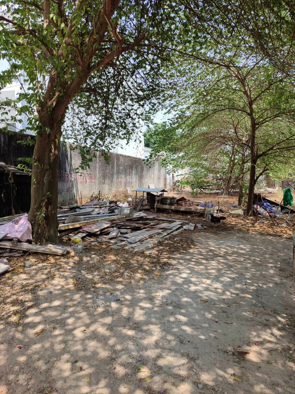 BÁN ĐẤT 226.5M2 (10X23) FULL THỔ CƯ - HXH - HÓC MÔN- CHỈ 5.2 TỶ