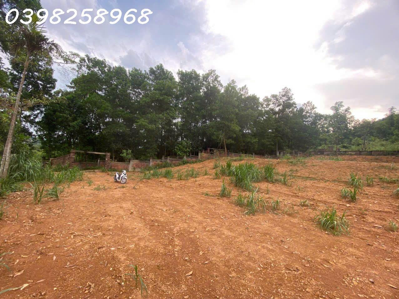 CẦN BÁN 2.200 m2 ĐẤT, MẶT ĐƯỜNG Ô TÔ TRÁNH- FULL THỔ CƯ, ĐẦU TƯ CHIA LÔ, GIÁ NHỈNH 8 TỶ