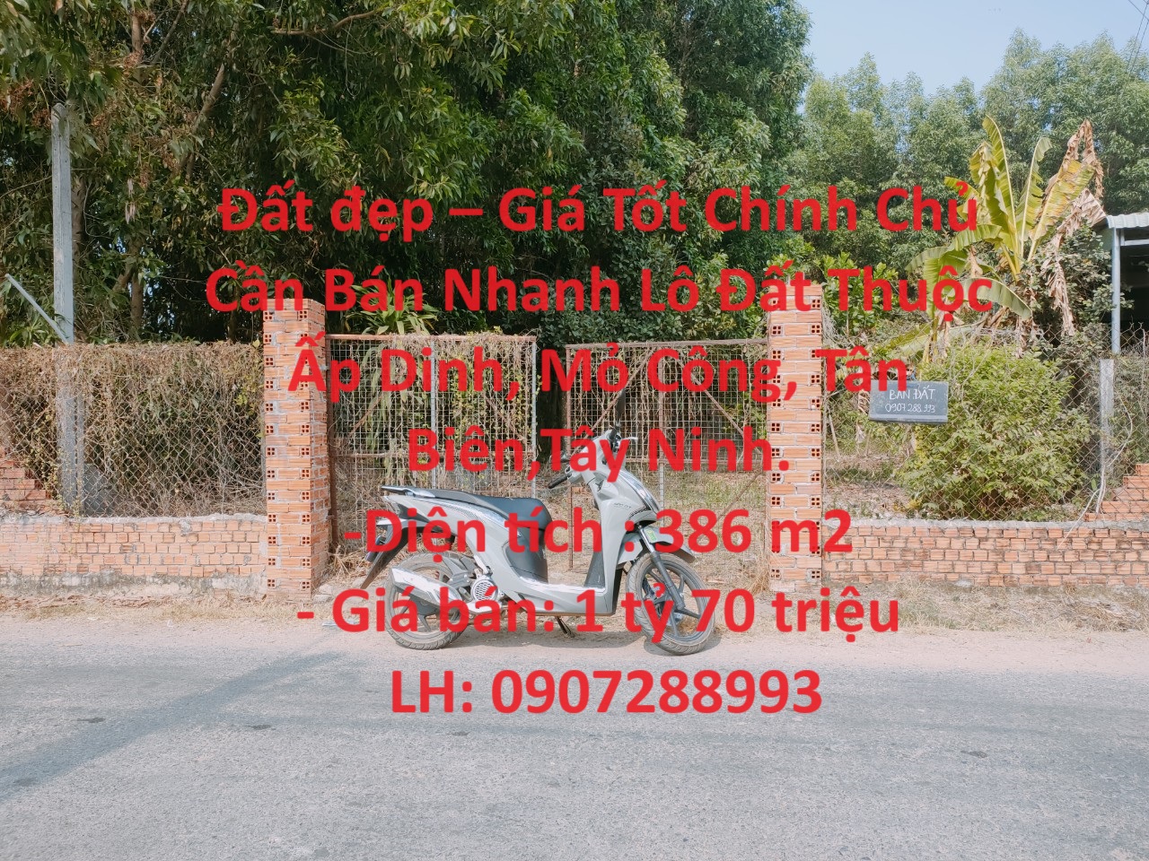 Đất đẹp – Giá Tốt Chính Chủ Bán Nhanh Lô Đất Tại Tân Biên,Tây Ninh.