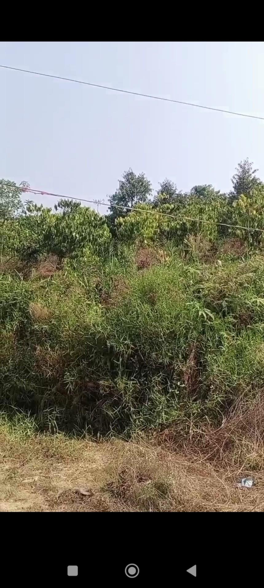 CHÍNH CHỦ CẦN BÁN GẤP LÔ ĐẤT Rô Men, Đam Rông, Lâm Đồng