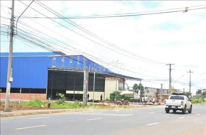 CHÍNH CHỦ CẦN CHO THUÊ KHO BÃI MẶT TIỀN KM 16 - QUỐC LỘ 26 LÀM KHO SẦU RIÊNG - ĐẮK LẮK