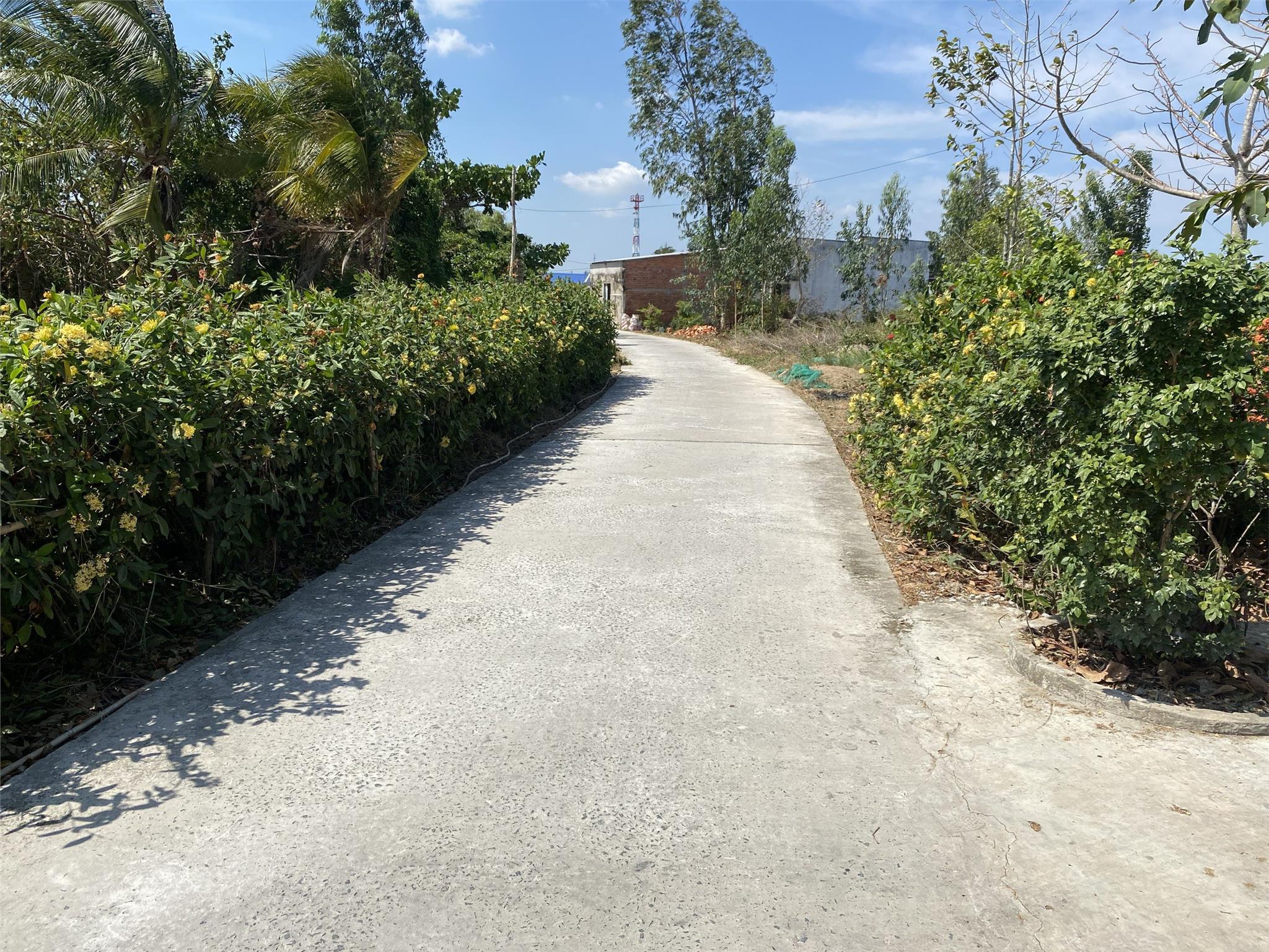 ĐẤT CHÍNH CHỦ - Giá Tốt - Cần Bán LÔ ĐẤT 3 MẶT TIỀN Tại Ấp Vàm Xáng xã Phong Điền