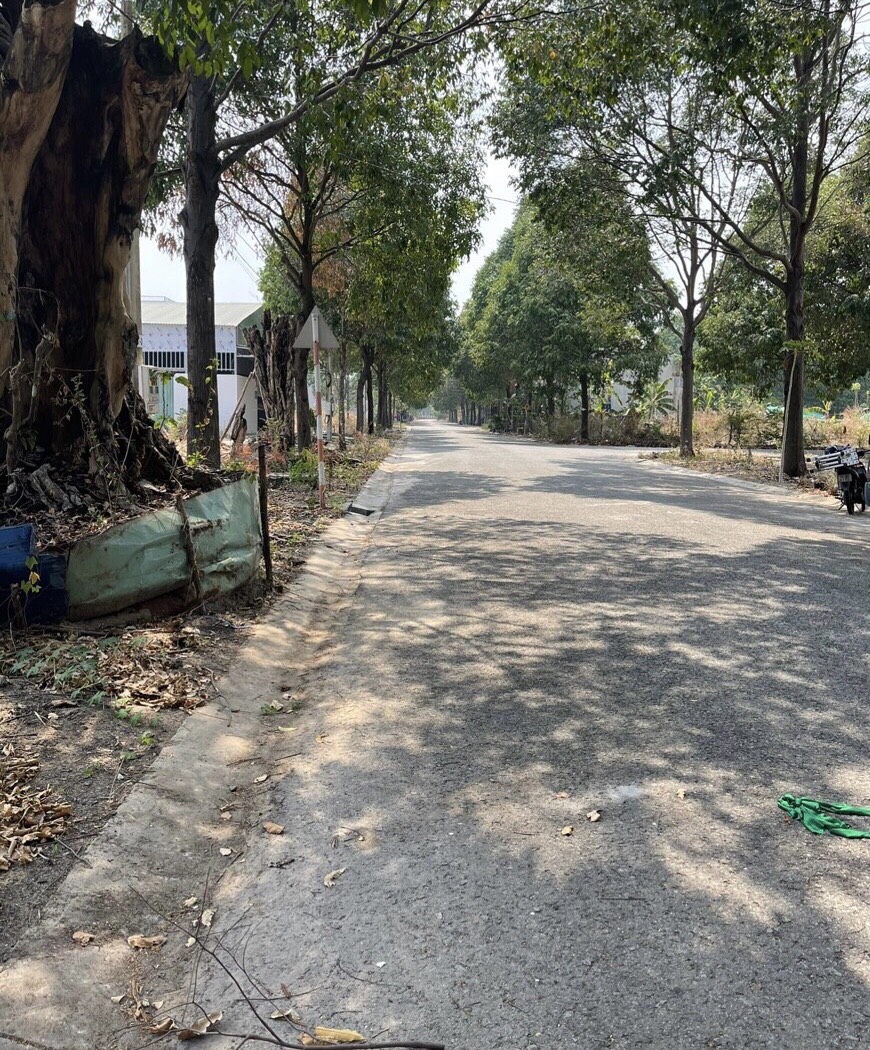 * CHÍNH CHỦ CẦN BÁN LÔ ĐẤT PHƯỜNG HOÀ PHÚ - TP THỦ DẦU MỘT - BÌNH DƯƠNG *