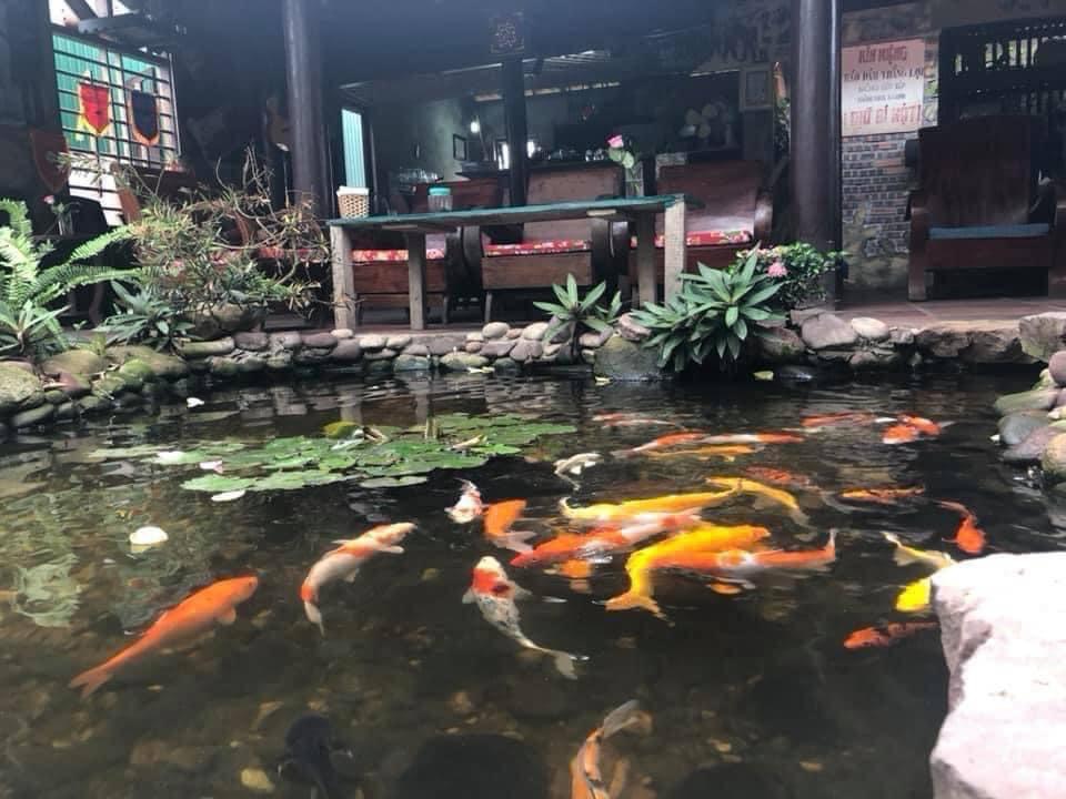 CHO THUÊ QUÁN CAFE TẠI PHƯỜNG HƯNG LỘC, TP VINH