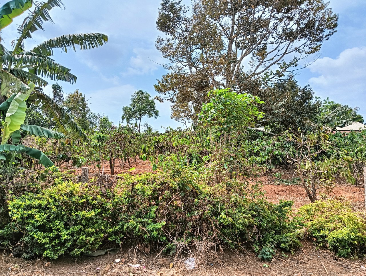 * CHÍNH CHỦ CẦN BÁN LÔ ĐẤT Ở THÀNH PHỐ PLEIKU- GIA LAI