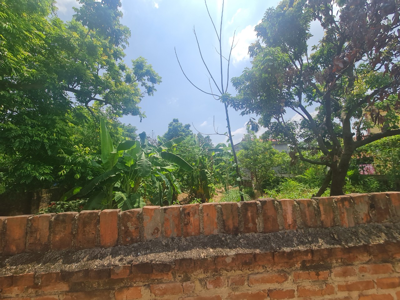 CHÍNH CHỦ BÁN LÔ ĐẤT TẠI HÀ NỘI, SỔ ĐỎ CHÍNH CHỦ SANG TÊN NHANH CHÓNG.