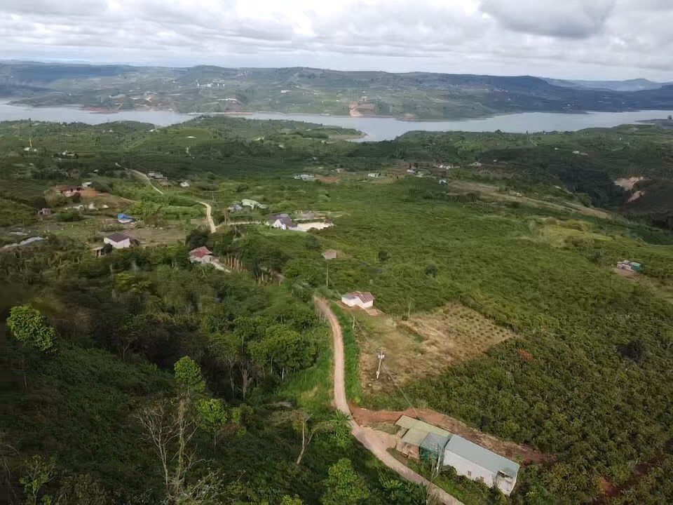 HOT * HOT * CHÍNH CHỦ CẦN BÁN ĐẤT LỖ SÂU TRẢ NGÂN HÀNG LÔ ĐẤT Ở DI LINH - LÂM ĐỒNG / GIÁ RẺ NHẤT THỜI ĐIỂM HIỆN TẠI