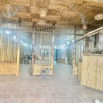  800m2 - 4