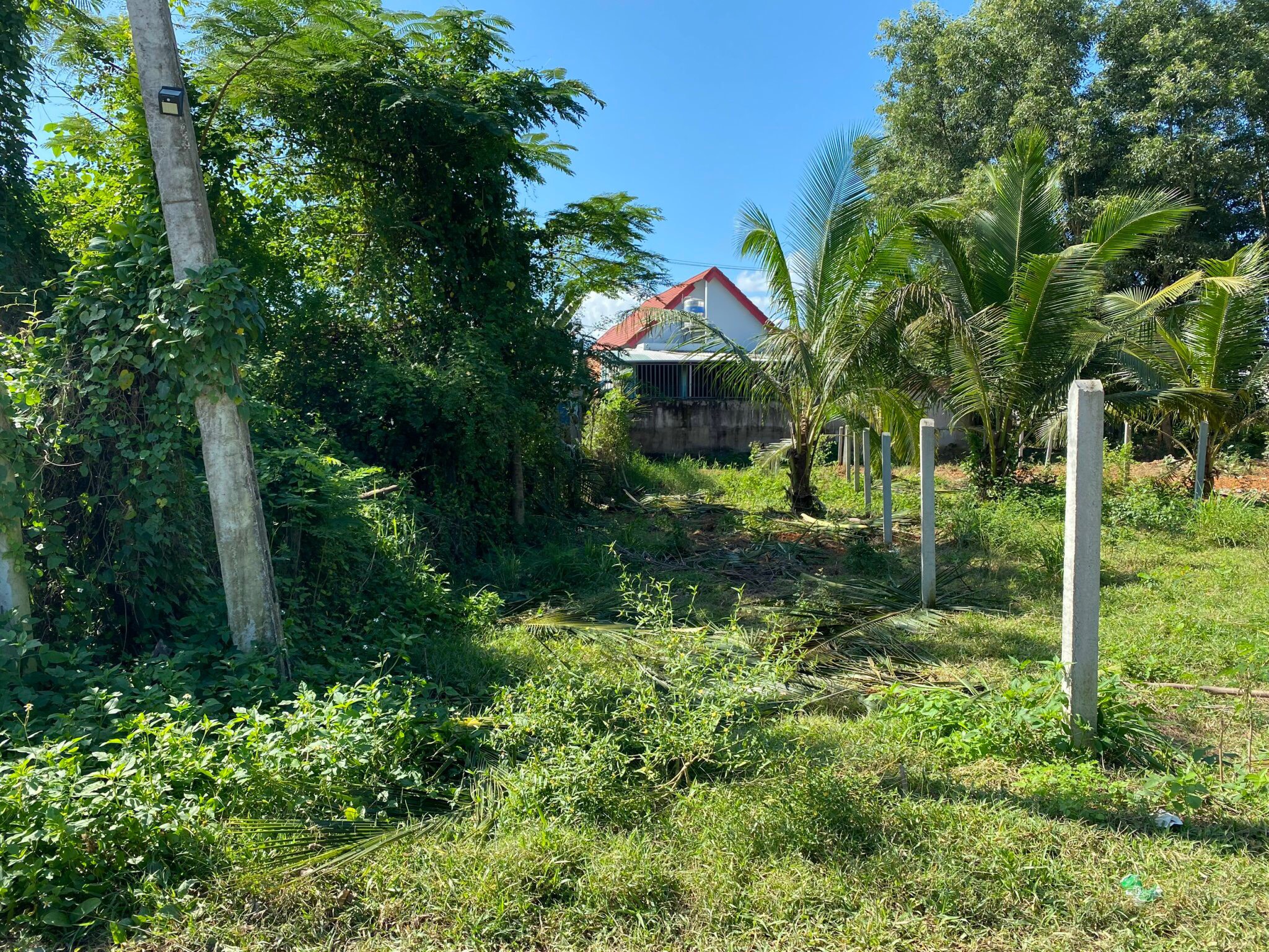 Bán đất Diên Lạc Diên Khánh mặt tiền đường Tư Văn