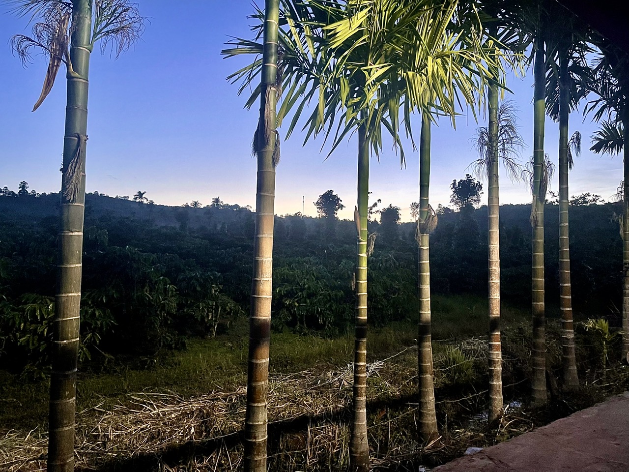 Bán đất Thanh Cao, Lương Sơn, Hoà Bình