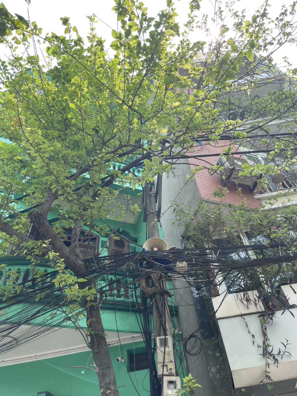 ☄️BÁN GẤP MP PHƯƠNG MAI, GẦN CÔNG VIÊN THỐNG NHẤT, VỊ TRÍ SIÊU ĐỈNH, CHỖ ĐẸP NHẤT PHỐ, KD SẦM UẤT 80M/MT 4M/26,7TỶ.