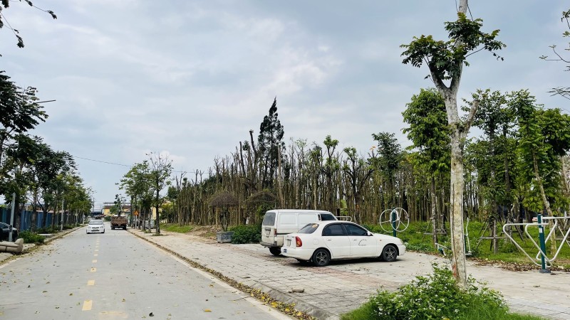 NGUYỄN VĂN LINH – LÔ MẶT NGÕ Ô TÔ THÔNG - LÔ GÓC 3 MẶT THOÁNG - 50M RA VƯỜN HOA TÂN THUỴ - AN SINH ĐỈNH