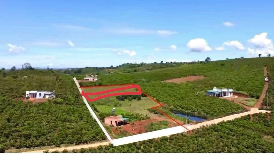 Đất Full Thổ Cư - Sổ Hồng Sẵn Thuộc xã Phúc Thọ - Lâm Hà - Lâm Đồng