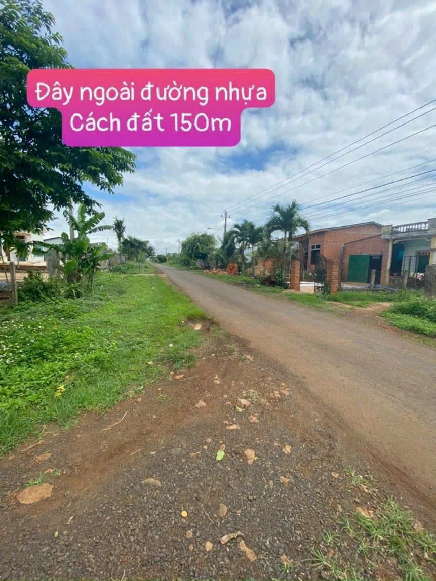 AI MÊ VỀ DAKLAK TRỒNG SẦU RIÊNG ĐÂU Ạ. Đất thuộc Ea Siên, Buôn Hồ, Đắk Lắk