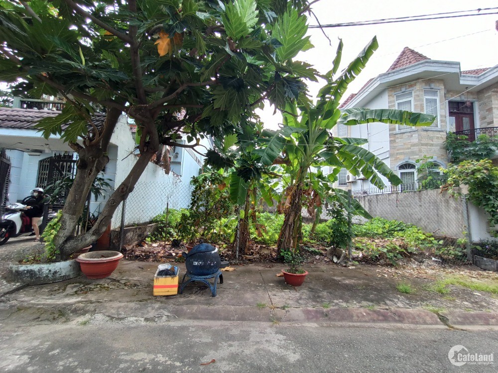 Trung tâm Trâu Quỳ, bán đất biệt thự 236m2 khu 31ha có xưởng sẵn dòng tiền .0982852808