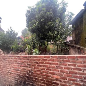 Chính chủ cần bán lô góc 60m2 thôn Phượng Đồng, Phụng Châu, Chương Mỹ