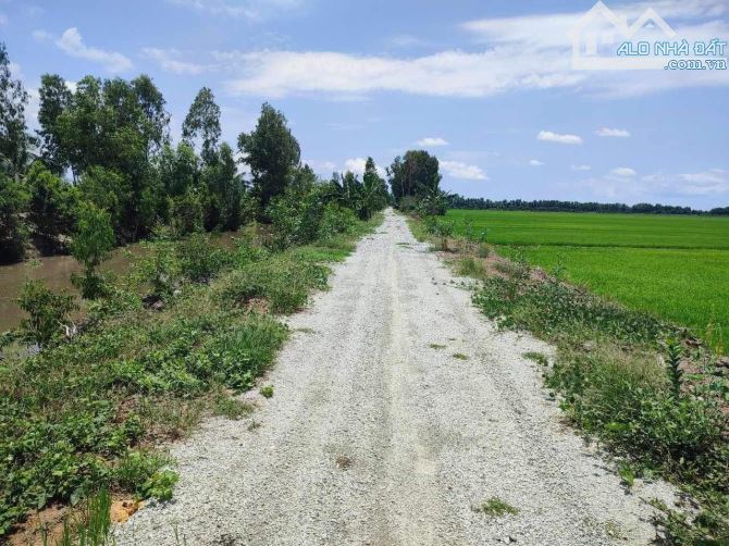 cần ra đi em đất Diện tích 3000m2 giá 650tr