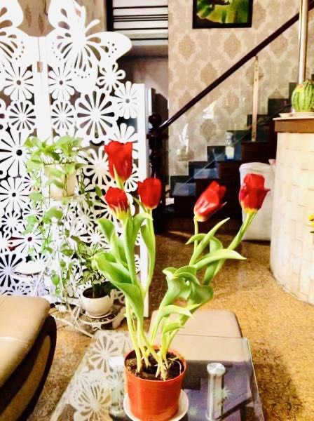 BÁN NHÀ MẶT TIỀN LÔ GÓC BÌNH TRỊ ĐÔNG A QUẬN BÌNH TÂN HCM GIÁ 8.6 TỶ