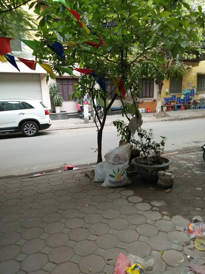 Bán 150m2 nhà mặt phố Vĩnh Phúc Ba Đình kinh doanh 23 tỷ.