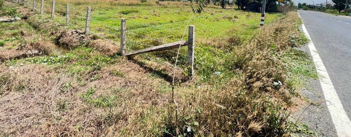 Tôi chính chủ cần bán gấp 4 nền đất mặt tiền đường nhựa Huỳnh Văn Đảnh