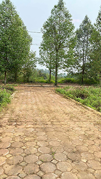 CHO THUÊ MẶT BẰNG GIÁ RẺ TRUNG TÂM 2 MẶT TIỀN QL1A, XÃ BÌNH CHÁNH, HUYỆN BÌNH CHÁNH