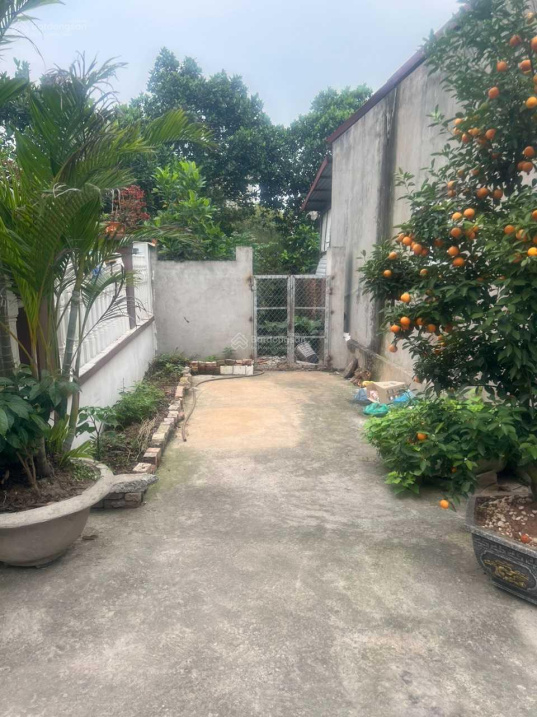 Chính chủ bán đất thổ cư 405m² sát đường Nguyễn Tất Thành ,Xã Cao Minh, Thành Phố Phúc Yên-Vĩnh Phúc.