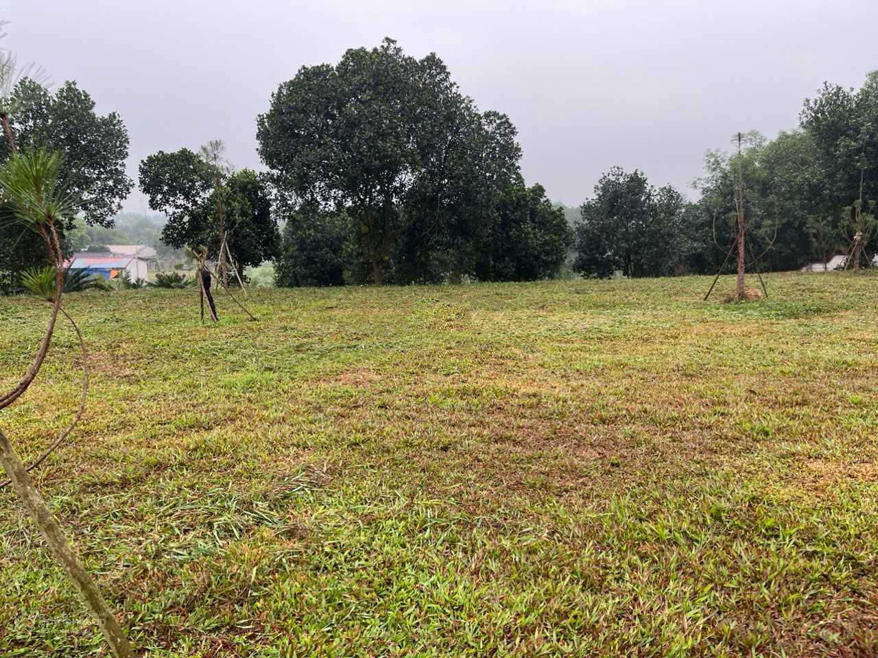 CHÍNH CHỦ BÁN ĐẤT MẶT TIỀN SỔ HỒNG RIÊNG GIÁ TỐT TRUNG TÂM CỔ ĐÔNG SƠN TÂY