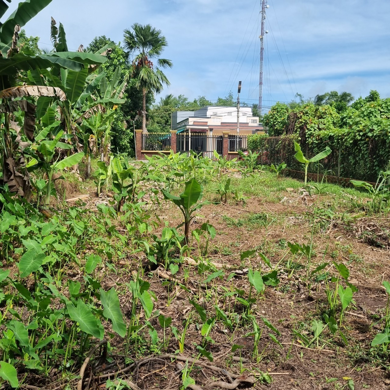 ĐÂT ĐẸP GIÁ TỐT nền biệt thự view sông 2.2 tỷ 346m2 Hàng Gòn, Cái Răng, Cần Thơ