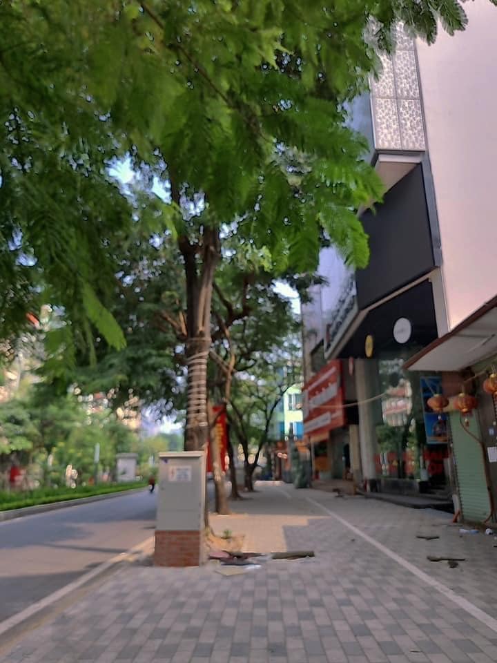 ⭐MẢNH ĐẤT VÀNG-Mặt Phố Lạc Long Quân 200m2/ Mặt tiền 10m - 120 Tỷ - Sổ đỏ đẹp⭐