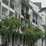 100m2 - 7