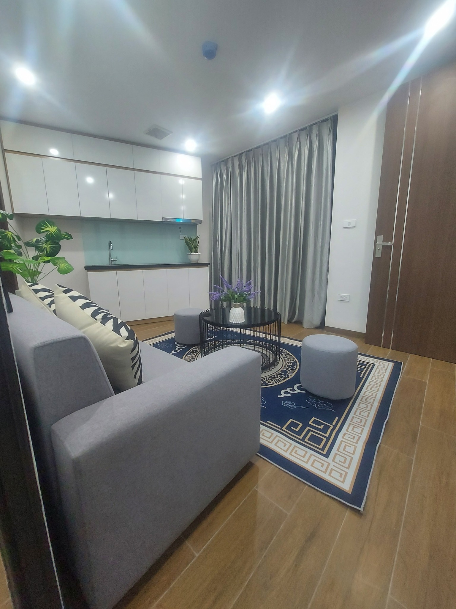 Chính Chủ Cho Thuê CCMN xây mới tại 245 Lạc Long Quân