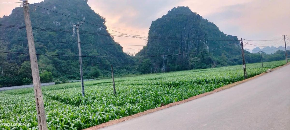 Giá bán cực kỳ hấp dẫn chỉ 1,8 tỷ đồng. 15 mét mặt tiền kinh doanh