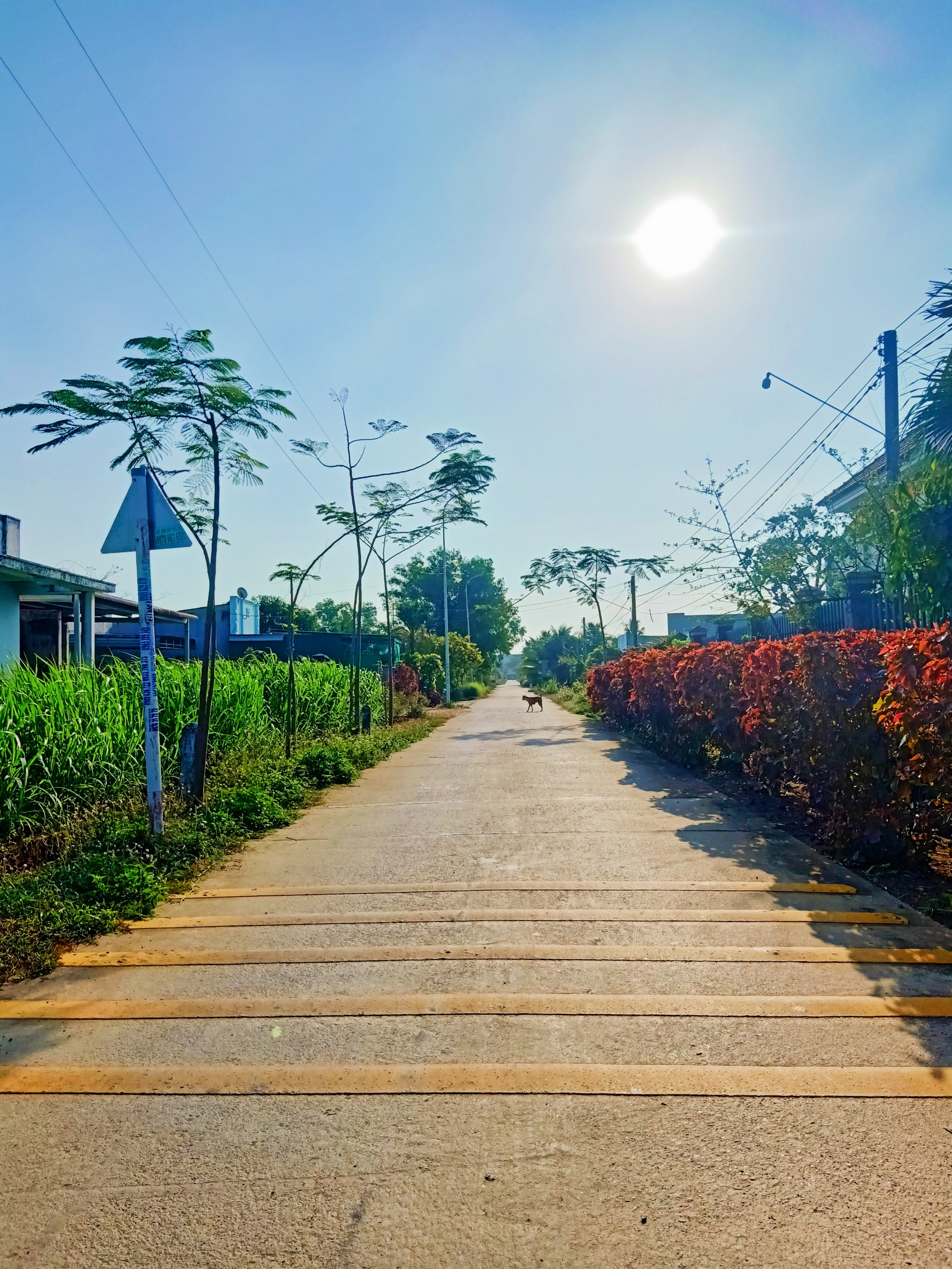 Bán đất thổ cư " Khu bàn cờ" mặt tiền Đường 23, Nghĩa Thành, H. Châu Đức, BR-VT.