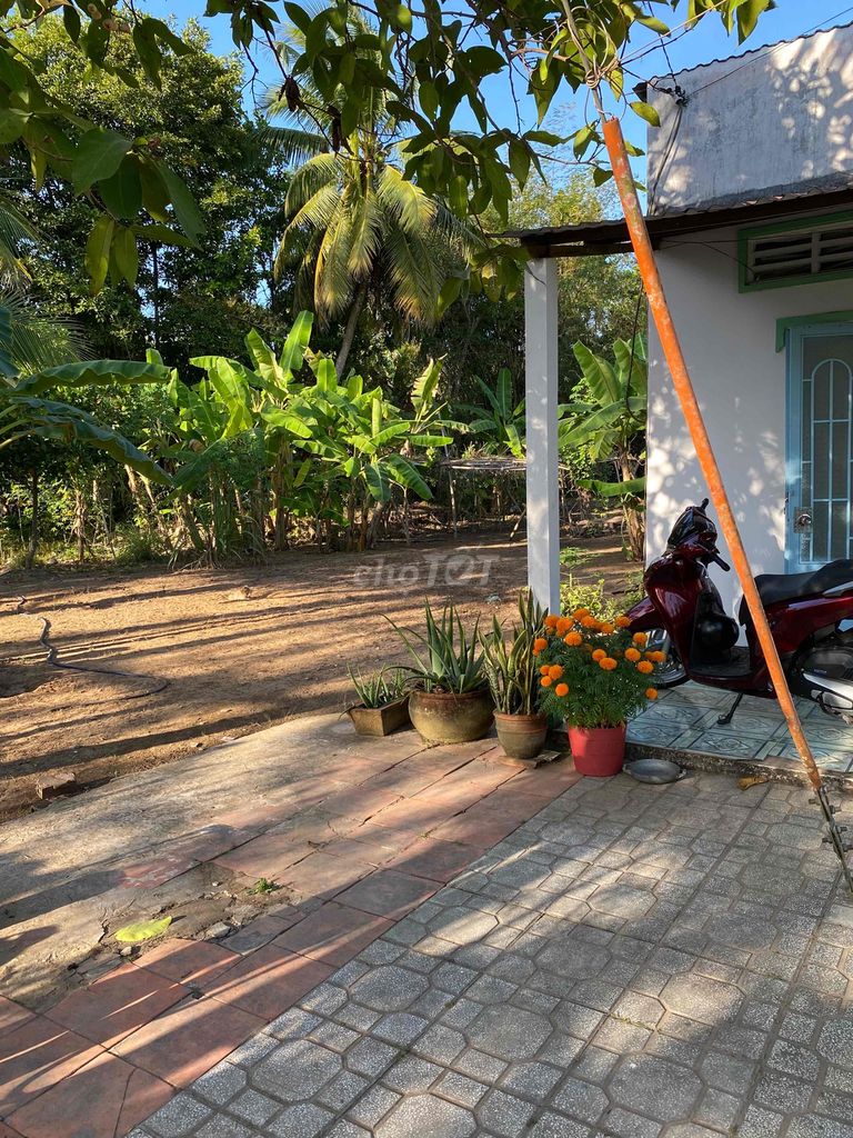 BÁN NHANH ĐẤT CHÍNH CHỦ VỊ TRÍ ĐẸP Tại Phước Hậu, Vĩnh Long