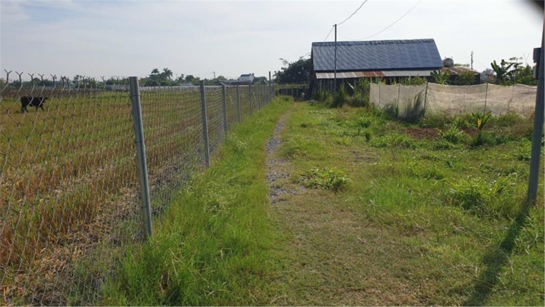 BÁN THỬA ĐẤT XUÂN THỚI THƯỢNG HÓC MÔN DT 3.459 M2 NGANG 55M DÀI 62M CHỈ 2TR/M2