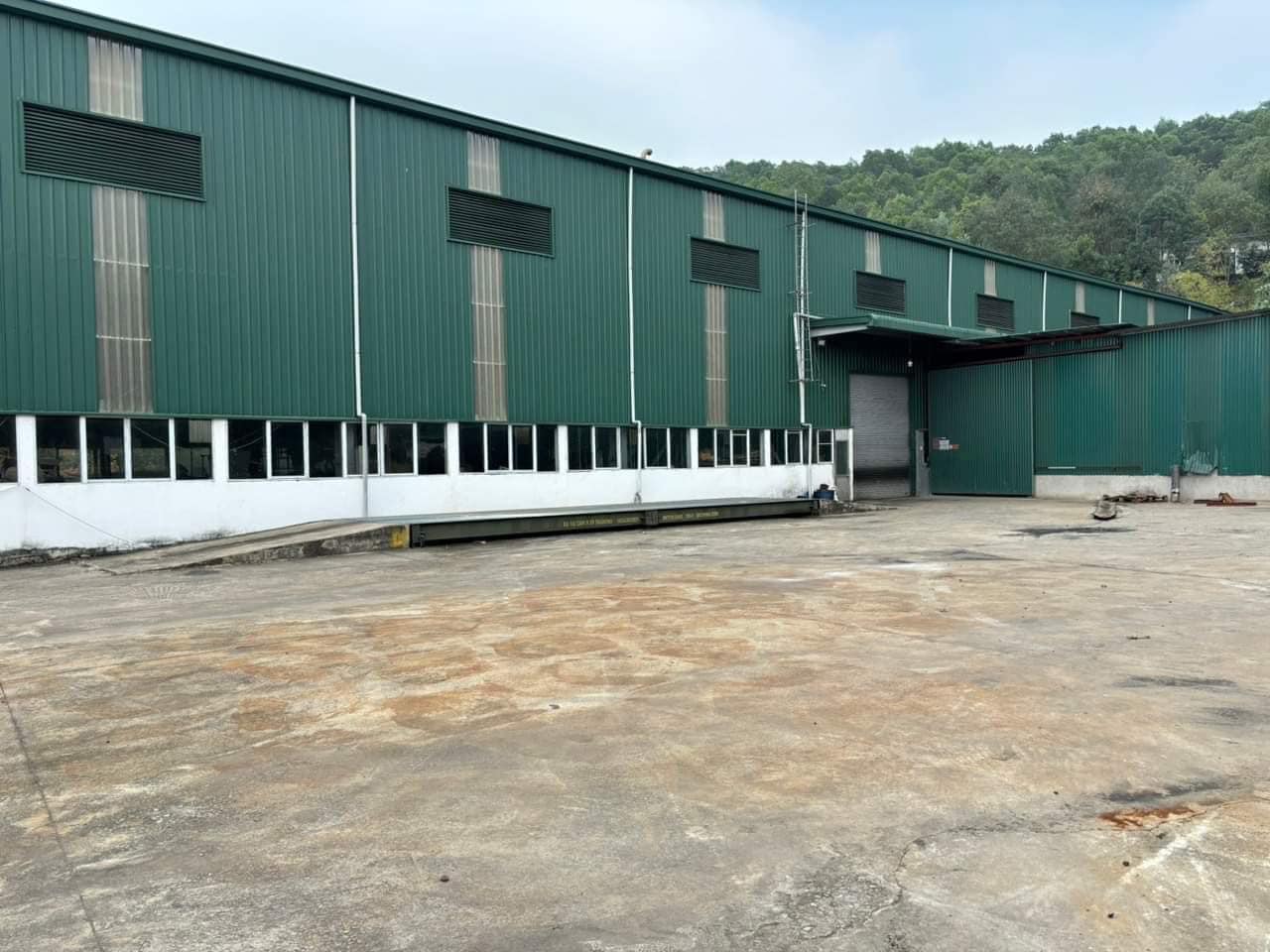 ầ á à ưở ớ ạ â à - ú ê ĩ ú