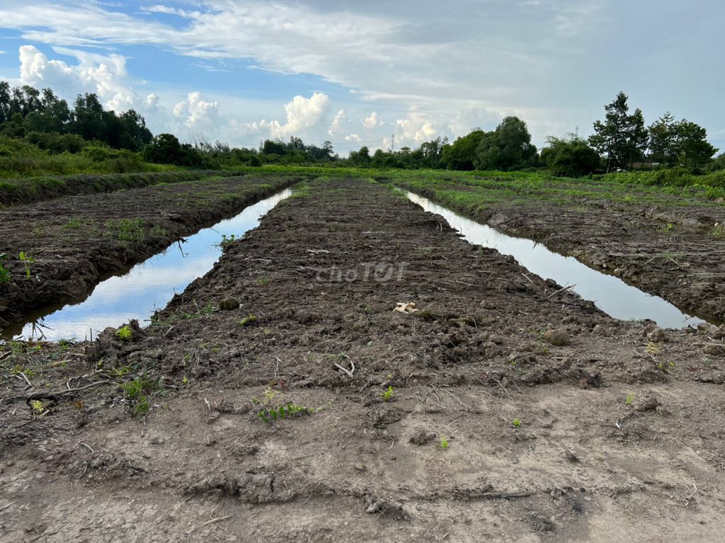 Bán đất chính chủ Trung An, Củ Chi, Tp. Hồ Chí Minh