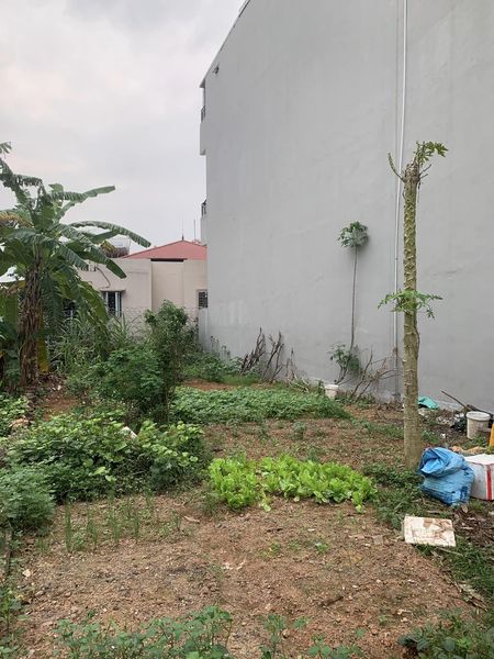 Nhỉnh 2 Tỷ nhập khẩu phường Xuân Hòa, Phúc Yên, Vĩnh Phúc