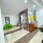  55m2 - 1