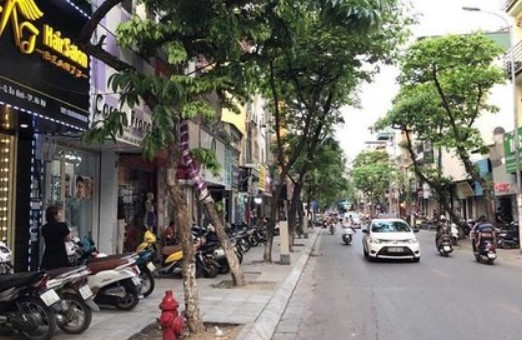 VIP-phố Đội Cấn,Ba Đình-lô góc-2 mặt phố-kinh doanh-dòng tiền 1,5 tỷ/n-138m*5T-chỉ 33 tỷ