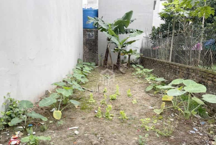 Bán đất Thắng Lợi - Thường Tín trung tâm Huyện giá nhỉnh 2x triệu/m2