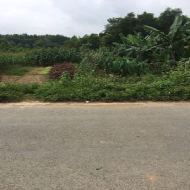 Chính chủ cần bán lô đất đấu giá tại địa chỉ khu mơ, thị trấn Yên Lập, huyện Yên Lập, tỉnh Phú Thọ