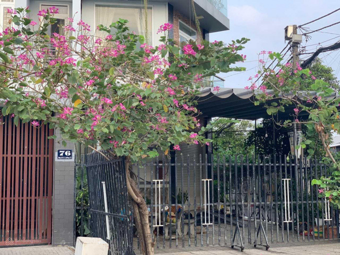 Chính chủ, bán gấp mảnh đất diện tích 361,2m², đất ở 226,9 m² thuộc hẻm 74, đường 36, phường Linh Trung, Thành phố Thủ