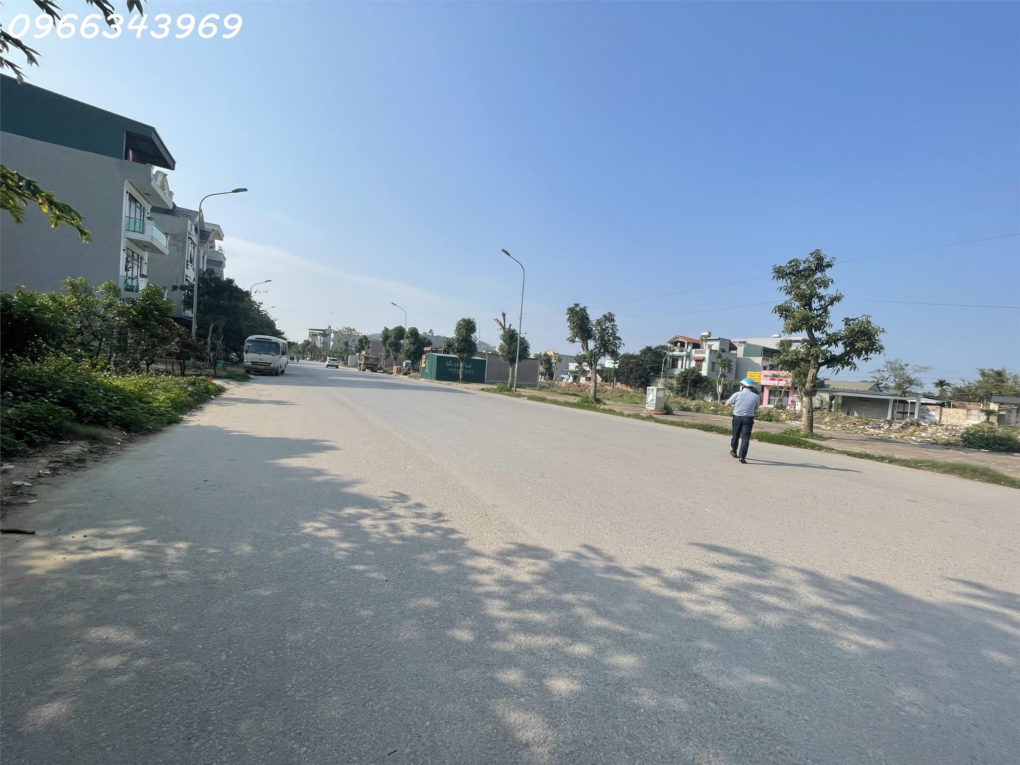 HOT HOT. ĐẤT HÀNG CAU HỢP LỰC. NHẬN SỔ NGAY, LH: 0966343969