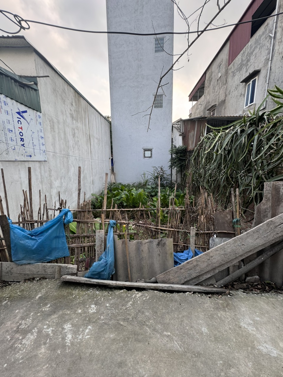 Bán 43m đất mặt ngõ Ngô Xuân Quảng Trâu Quỳ Gia Lâm, đường thông xe 7 chỗ,